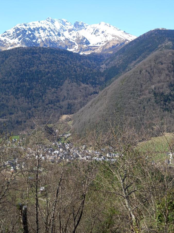 Appartement 2 A 4 Personnes Le Pyreneen A Arreau Carrefour Des Activites De Montagne Eksteriør billede